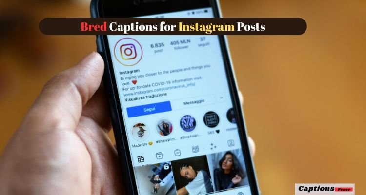 Bred Captions for Instagram Posts