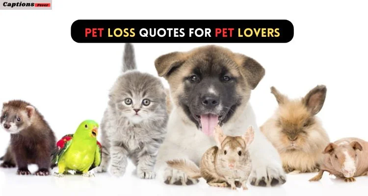 Pet Loss Quotes